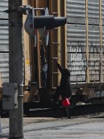 Pedestrian No-No Closeup